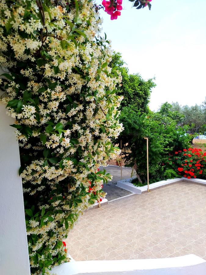 Villa Stella Family House Pefki  Exterior photo